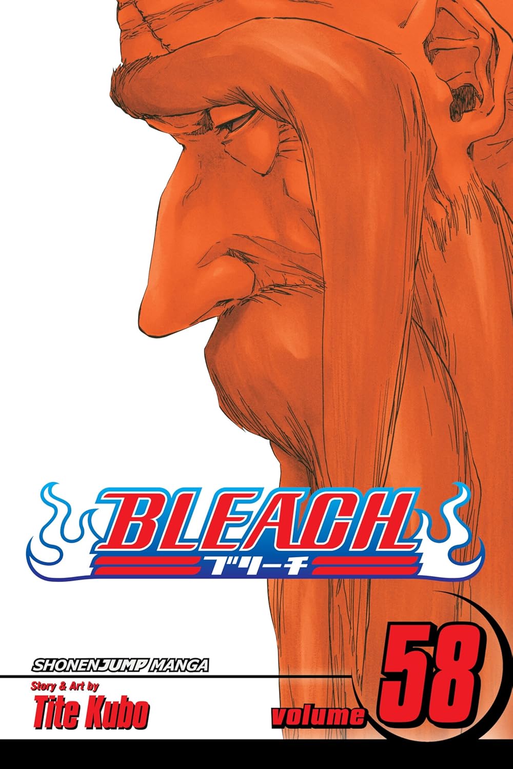 Bleach, Vol. 58: Beauty Is So Solitary