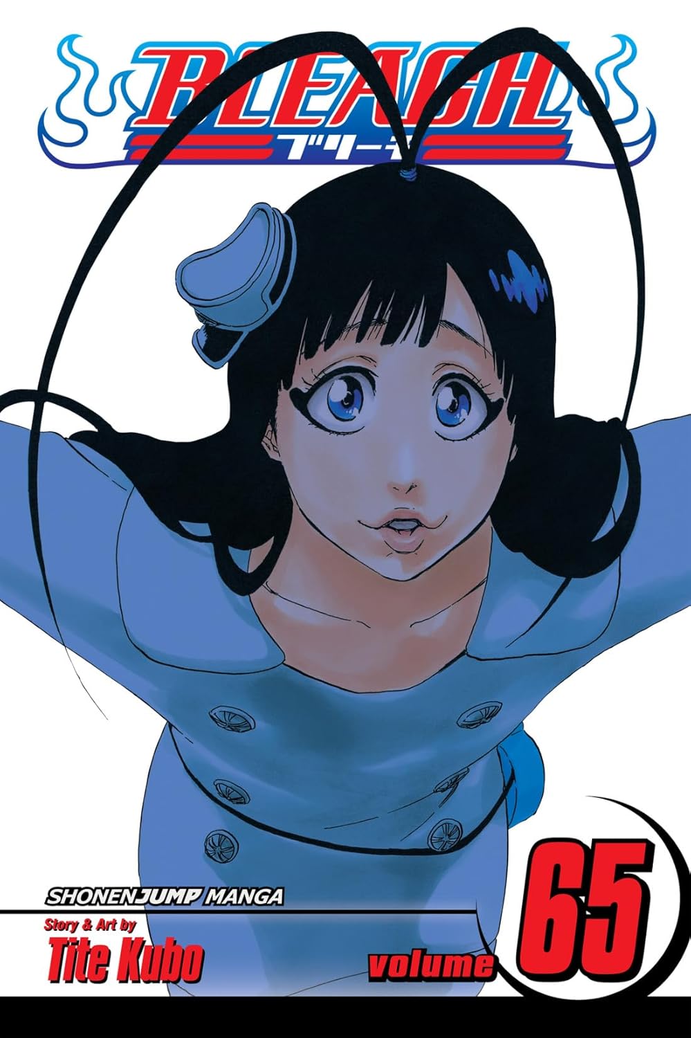 Bleach, Vol. 65: Beauty Is So Solitary